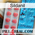 Sildanil new14